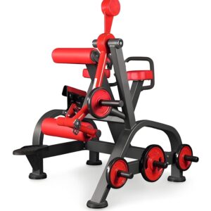 Reverse Hyperextension