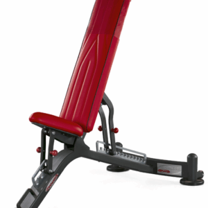 Fully Adjustable Bench