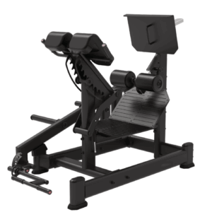 Dual 45 Hip Extension