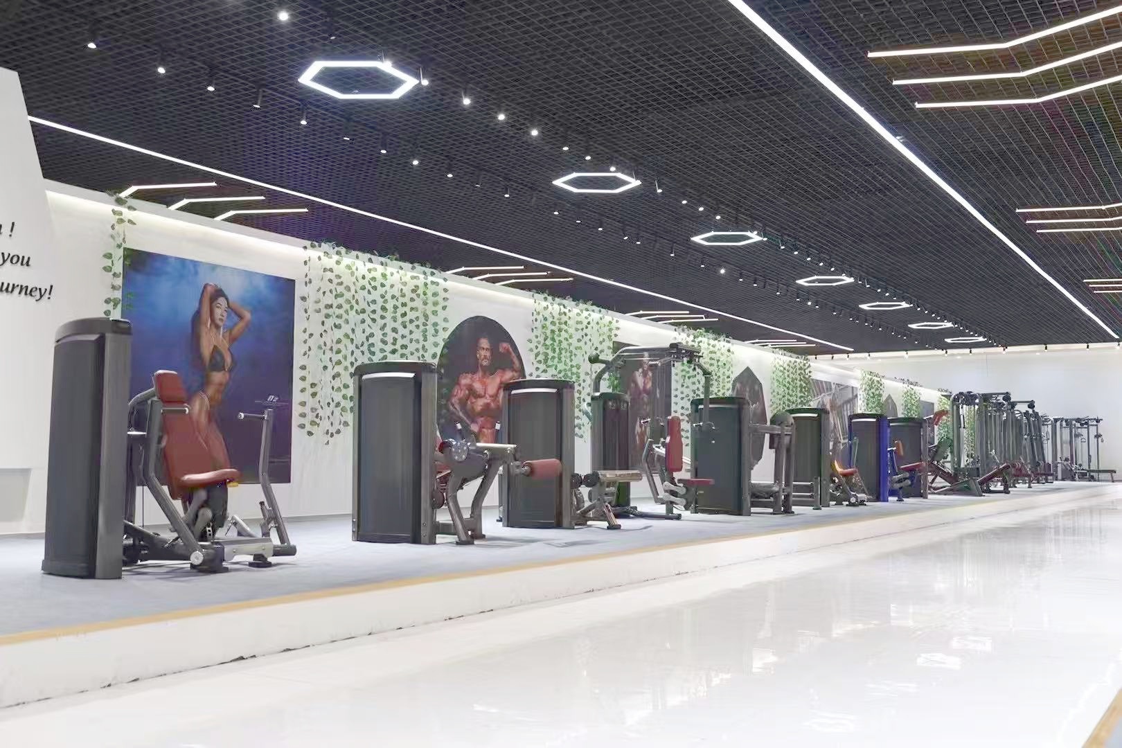 Showroom — vista 1